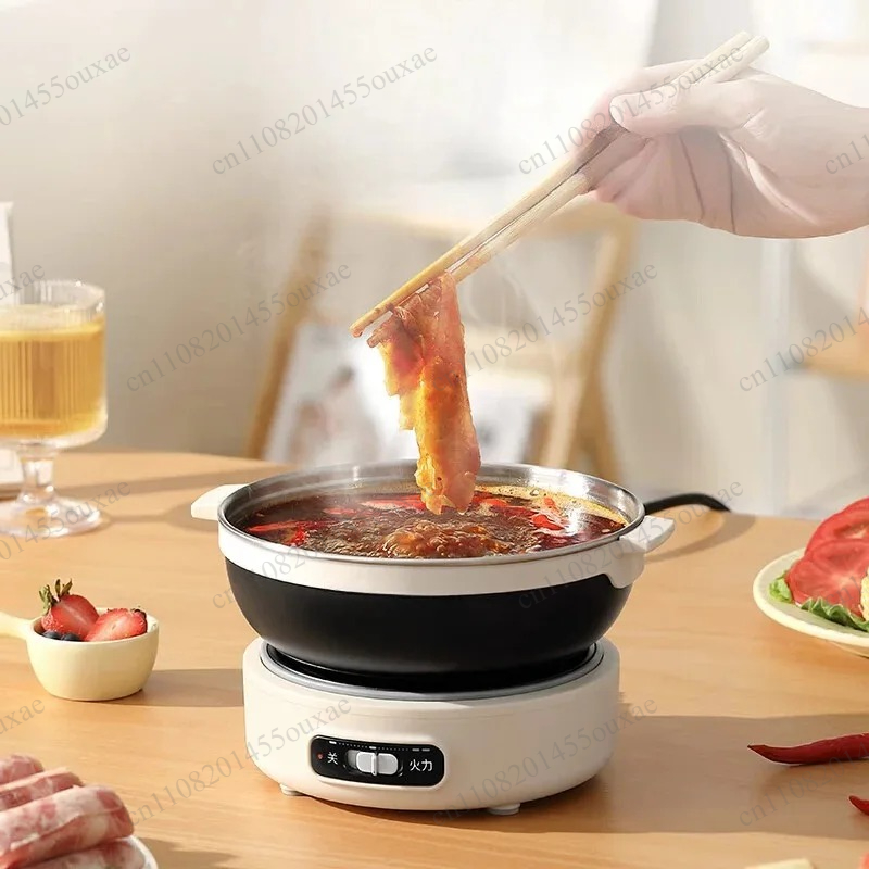 220V 휴대용 분리형 멀티 쿠커 접이식 전기 냄비 이 - Hot Pot Portable Dual 리뷰 및 가격